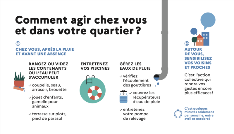moustique-tigre-comment-agir.png