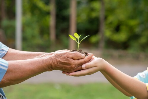 personne-agee-enfants-tenant-plante_bd.jpg