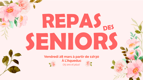 FB_repas_seniors.png