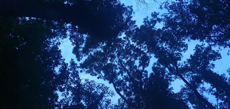 20230610_214952.jpg