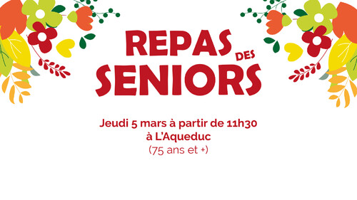 FB_repas_seniors26.jpg