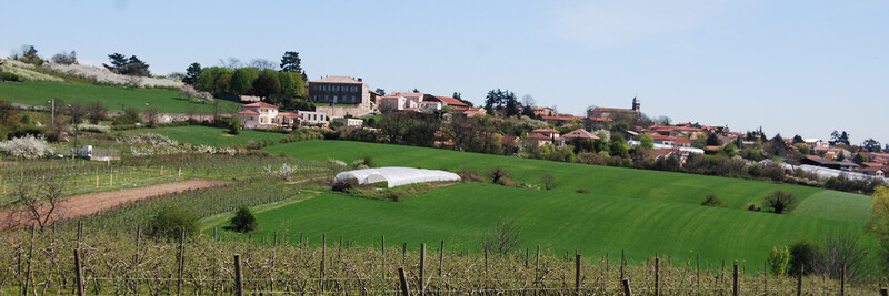 Agriculture_Mairie.jpg