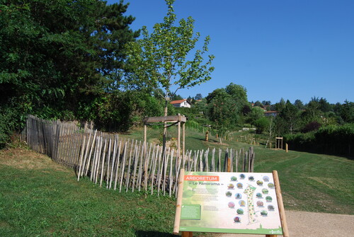 arboretum